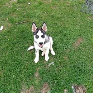 Meet your Posher, Javier